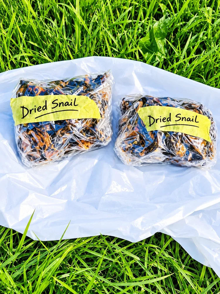 Dried snail