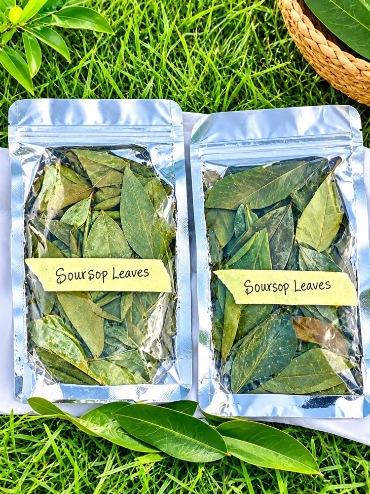 Soursop leaves
